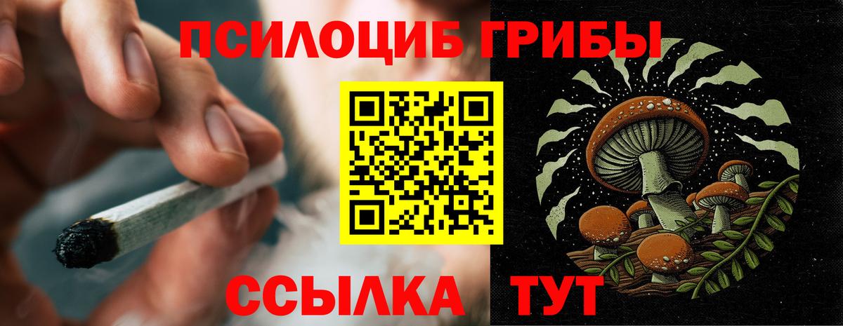 Псилоцибиновые грибы GOLDEN TEACHER  Галлюциногенные грибы Magic Shrooms  Краснотурьинск  Вход с VPN 